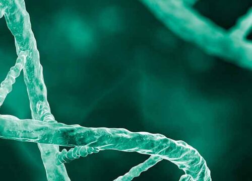 AI-Driven Business Insights